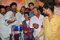 Kakateeyudu Audio Launch